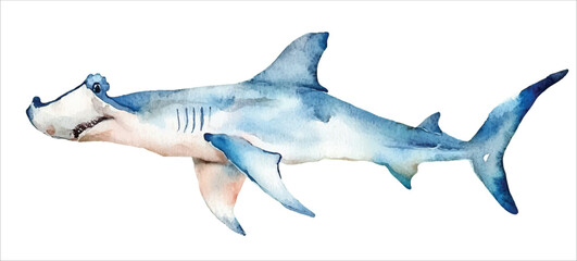 Fish Hammer, Hammerhead shark watercolor vector illustration, underwater ocean animal art isolated on white background