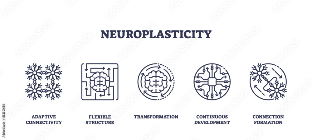 Poster neuroplasticity is shown with brain, neural networks, and circuit icons, representing adaptive conne