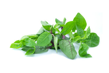 Heap of Fresh amaranth leaves or Chinese spinach or callaloo isolated on white background close up stack.