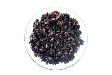 Cooked rice berry and whole oat in clear cup isolated on white background top view flat lay stack...