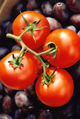 Vegetable four red tomatoes