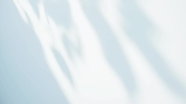 Abstract leaf shadow sunlight overlay on white wall. Minimalist natural light aesthetic background. Seamless loop 4K video animation for calming product display or mindful content. 