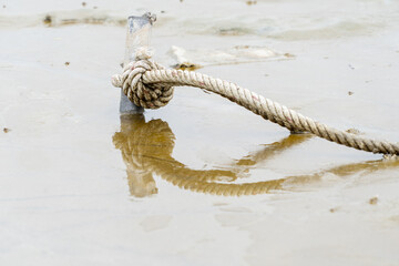 A rope is laying on the ground in a muddy area