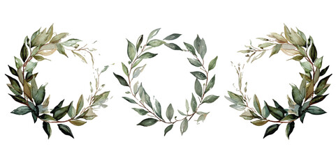 Laurel wreath isolated on transparent background, Set of green leaf wreaths and frames in different shapes and sizes