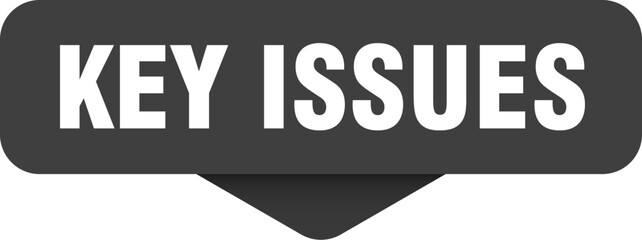 key issues sticker. key issues sign on transparent background
