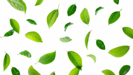 Vibrant Green Leaves Pattern A Fresh Botanical Design for Backgrounds and Overlays, Ideal for Nature-Inspired Themes