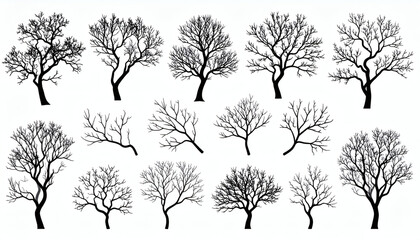 Obraz premium Collection of black silhouettes of tree branches isolated on white background, detailed natural branch shapes vector design