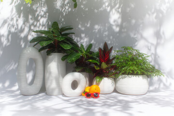 Vibrant display of decorative planters featuring lush green plants, complemented by bright oranges and playful sunglasses, creates cheerful and inviting atmosphere