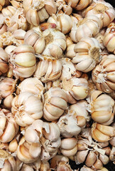 Fresh Garlic Texture, Kitchen Herb and Spice