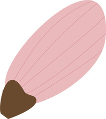 Flower petal of flower Blossom 