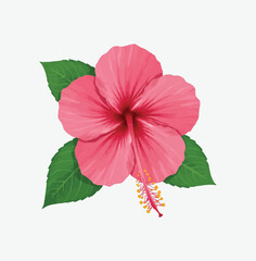 Image is a digital illustration featuring a vibrant pink hibiscus flower with five large petals. The petals are detailed with lighter pink highlights and subtle shading, giving them a three-dimension