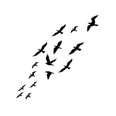 Diagonal Flight of Black Bird Silhouettes - Dynamic Avian Flock Vector for Nature and Freedom Concepts