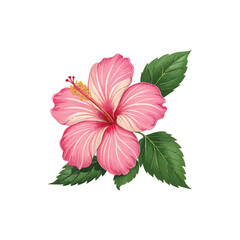 Image is a digital illustration featuring a vibrant pink hibiscus flower with five large petals. The petals are detailed with lighter pink highlights and subtle shading, giving them a three-dimension
