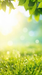 Obraz premium Radiant sunshine illuminating dewy grass in nature's tranquil landscape serene outdoor environment soft focus view