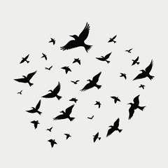 Circular Swirl of Black Bird Silhouettes - Dynamic Flock in Flight for Nature, Freedom, and Abstract Designs
