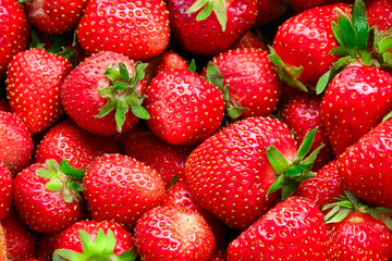 Abundant Cluster of Juicy Summer Strawberries