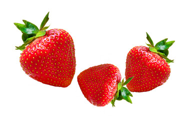 Strawberry pattern on white background
