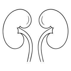 Human Kidneys Outline Icon