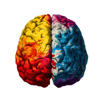 Lithography of human brain exploding in colors. Creative minds concept. Illustration without background.
