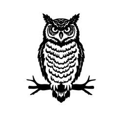 owl on white background