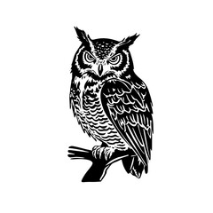 owl on a branch