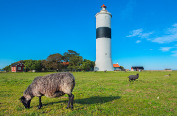 Light house, Sweden, oland