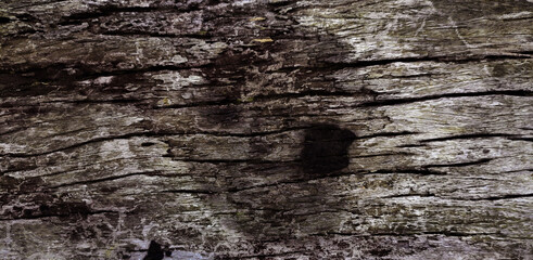Old wooden floor with a beautiful texture.
