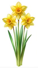 Beautiful arrangement of three vibrant yellow daffodils with lush green stems and leaves