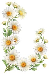 Obraz premium Delicate Daisy Arrangement on a White Background, Watercolor Style and Beautiful