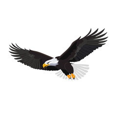 flying seagull wildlife vector animal design