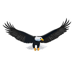flying american bald eagle wildlife vector animal design