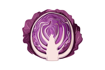 レッドキャベツのイラスト(png)