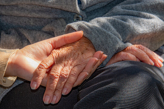 The exchange of energy between the hands of grandmother and granddaughter.