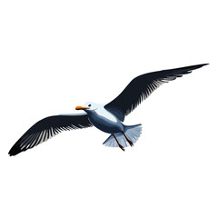 flying seagull wildlife vector animal design