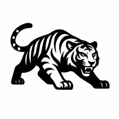 Vector illustration of a wild striped tiger, a feline predator, isolated on white or black backgrounds