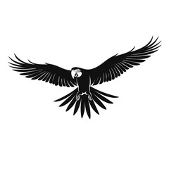 black silhouette of a macaw parrot vector animal graphic design