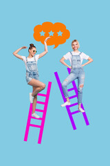 Artwork image collage of two girls stand climb ladder with stars cloud