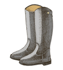 Horse riding boots hand drawn vector