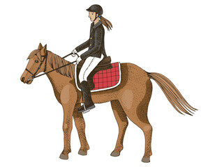 Equestrian rider in dressage uniform on horseback