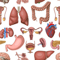 Human internal organs seamless pattern