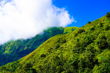 Panoramic view of green landscape with mountains, blue sky and white clouds from Selong Hill, Sembalun, Lombok, West Nusa Tenggara, Indonesia.