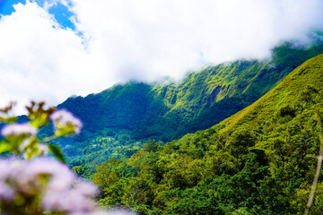 Panoramic view of green landscape with mountains, blue sky and white clouds from Selong Hill, Sembalun, Lombok, West Nusa Tenggara, Indonesia.