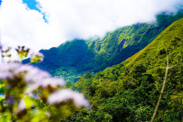 Panoramic view of green landscape with mountains, blue sky and white clouds from Selong Hill, Sembalun, Lombok, West Nusa Tenggara, Indonesia.