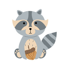 Cute forest animal raccoon holds a nut in its paws in cartoon style on a white background, can be used for printing postcards, banners, advertising