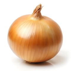Fresh Onion Close Up Photo