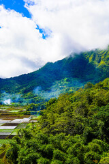 A view of the green landscape of the Rinjani volcano in summer. Farmland view from Selong Hill, Sembalun, Lombok, West Nusa Tenggara, Indonesia.