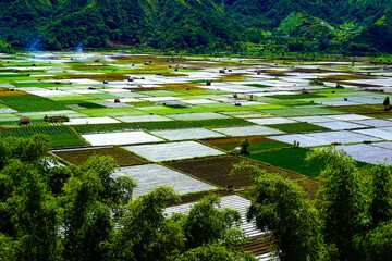 A view of the green landscape of the Rinjani volcano in summer. Farmland view from Selong Hill, Sembalun, Lombok, West Nusa Tenggara, Indonesia.