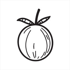 Coconut Fruit Hand Drawn Outline Illustration,Minimalist Coconut Line Art Vector,Coconut Sketch Isolated on White Background,Simple Coconut Drawing for Logo Design,Tropical Coconut Vector in Line