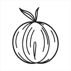 Coconut Fruit Hand Drawn Outline Illustration,Minimalist Coconut Line Art Vector,Coconut Sketch Isolated on White Background,Simple Coconut Drawing for Logo Design,Tropical Coconut Vector in Line