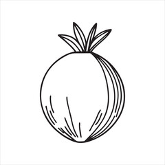 Coconut Fruit Hand Drawn Outline Illustration,Minimalist Coconut Line Art Vector,Coconut Sketch Isolated on White Background,Simple Coconut Drawing for Logo Design,Tropical Coconut Vector in Line